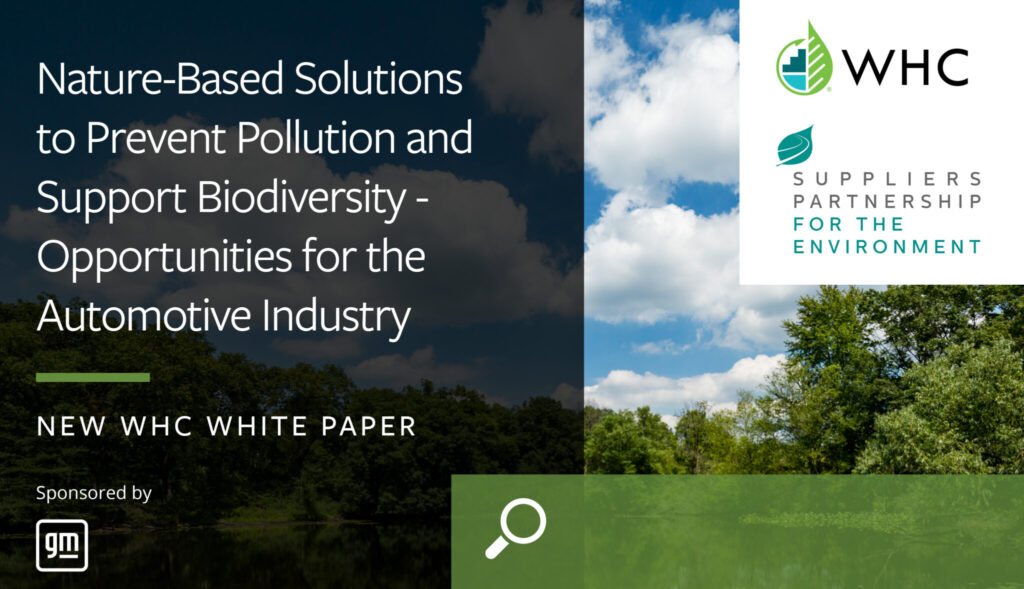Nature-based Solutions to Prevent Pollution and Support Biodiversity: Opportunities for the Automotive Industry